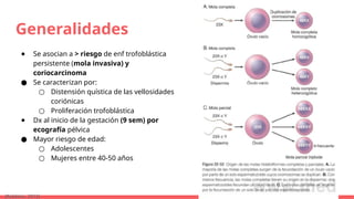Generalidades
● Se asocian a > riesgo de enf trofoblástica
persistente (mola invasiva) y
coriocarcinoma
● Se caracterizan por:
○ Distensión quística de las vellosidades
coriónicas
○ Proliferación trofoblástica
● Dx al inicio de la gestación (9 sem) por
ecografía pélvica
● Mayor riesgo de edad:
○ Adolescentes
○ Mujeres entre 40-50 años
(Robbins, 2015)
 
