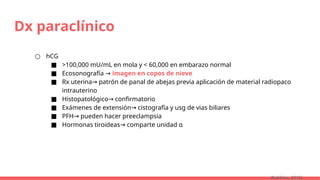 Dx paraclínico
○ hCG
■ >100,000 mU/mL en mola y < 60,000 en embarazo normal
■ Ecosonografía → imagen en copos de nieve
■ Rx uterina patrón de panal de abejas previa aplicación de material radiopaco
→
intrauterino
■ Histopatológico confirmatorio
→
■ Exámenes de extensión cistografía y usg de vias biliares
→
■ PFH pueden hacer preeclampsia
→
■ Hormonas tiroideas comparte unidad ɑ
→
(Robbins, 2015)
 