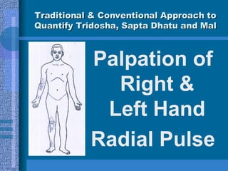 Traditional & Conventional Approach to Quantify Tridosha, Sapta Dhatu and Mal <ul><li>Palpation of Right & Left Hand </li>...