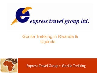 Gorilla Trekking in Rwanda & Uganda	 Express Travel Group :: Gorilla Trekking  