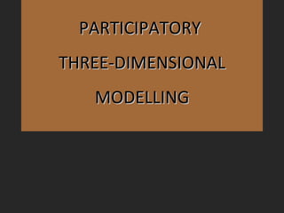 PARTICIPATORY  THREE-DIMENSIONAL MODELLING 