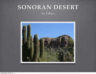 SONORAN DESERT
                                 by Ethan




Wednesday, October 12, 11
 
