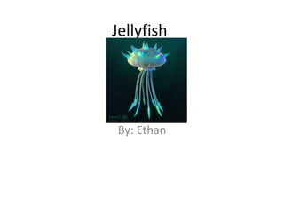 Jellyfish
By: Ethan
 