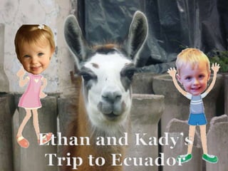 Ethan and Kady’s Trip to Ecuador Ethan and Kady’s Trip to Ecuador 