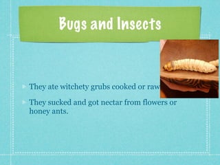Bugs and Insects


They ate witchety grubs cooked or raw

They sucked and got nectar from flowers or
honey ants.
 