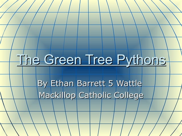 Ethan b the green tree pythons | PPT