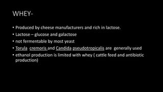 WHEY-
• Produced by cheese manufacturers and rich in lactose.
• Lactose – glucose and galactose
• not fermentable by most yeast
• Torula cremoris and Candida pseudotropicalis are generally used
• ethanol production is limited with whey ( cattle feed and antibiotic
production)
 