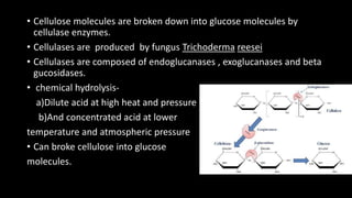 • Cellulose molecules are broken down into glucose molecules by
cellulase enzymes.
• Cellulases are produced by fungus Trichoderma reesei
• Cellulases are composed of endoglucanases , exoglucanases and beta
gucosidases.
• chemical hydrolysis-
a)Dilute acid at high heat and pressure
b)And concentrated acid at lower
temperature and atmospheric pressure
• Can broke cellulose into glucose
molecules.
 