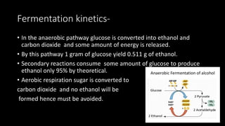 Fermentation kinetics-
• In the anaerobic pathway glucose is converted into ethanol and
carbon dioxide and some amount of energy is released.
• By this pathway 1 gram of glucose yield 0.511 g of ethanol.
• Secondary reactions consume some amount of glucose to produce
ethanol only 95% by theoretical.
• Aerobic respiration sugar is converted to
carbon dioxide and no ethanol will be
formed hence must be avoided.
 