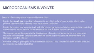MICROORGANISMS INVOLVED
Features of microorganisms in ethanol fermentation:
 Due to their small size, microbial cells present a very high surface/volume ratio, which makes
possible the active input of many substances to the cytoplasm.
 Due to the presence of a resistant cell wall, the microorganisms can build up many substances in high
concentrations which ensures faster fermentation rate & higher division cell rate
 The intense metabolism permits the development of continuous fermentation processes at an
industrial level since the cell growth rate offsets the rate at which cells are removed from the
bioreactor with the effluent
 Have the ability to ‘predigest’ the available food sources.Thus, they release both the end products
and the intermediate metabolites
 