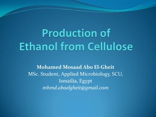 Mohamed Mosaad Abo El-Gheit
MSc. Student, Applied Microbiology, SCU,
Ismailia, Egypt
mhmd.aboelgheit@gmail.com
 