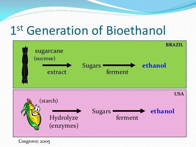bio ethanol brazil