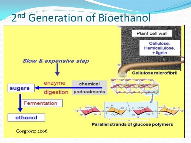 1 of 2 generation bioethanol