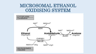 MICROSOMAL ETHANOL
OXIDISING SYSTEM
 