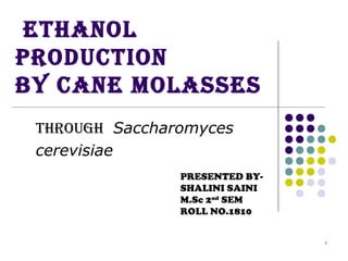1
ETHANOL
PRODUCTION
BY CANE MOLASSES
THROUGH Saccharomyces
cerevisiae
PRESENTED BY-
SHALINI SAINI
M.Sc 2nd
SEM
ROLL NO.1810
 
