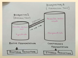 Ethanol production | PPTX