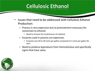 Corn and Lignocellulosic Ethanol Production Processes | PDF