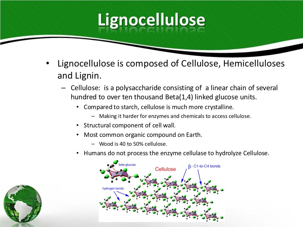 Corn and Lignocellulosic Ethanol Production Processes