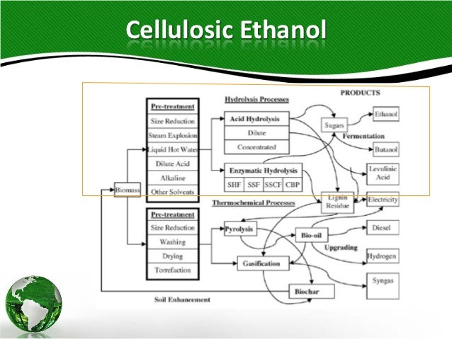 corn and lignocellulosic ethanol production processes ethanol production process