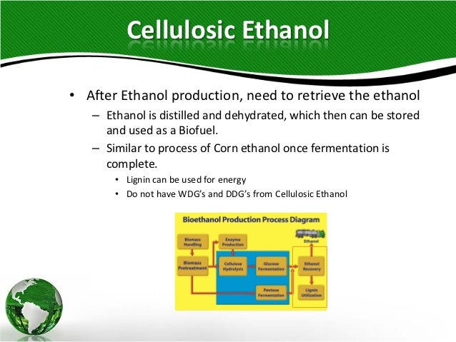 corn and lignocellulosic ethanol production processes celluosic biofuel