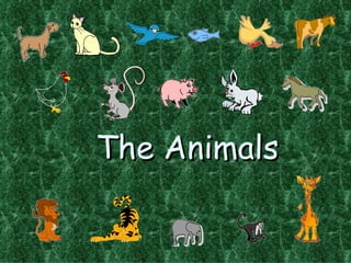 The Animals 