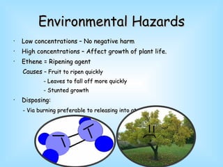 Environmental Hazards Low concentrations – No negative harm High concentrations – Affect growth of plant life.   Ethene = Ripening agent Causes  – Fruit to ripen quickly - Leaves to fall off more quickly - Stunted growth Disposing: - Via burning preferable to releasing into atmosphere 