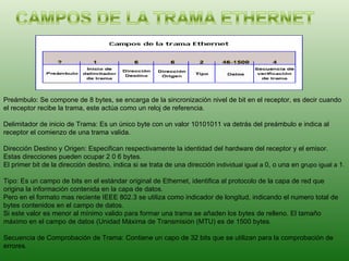 Preámbulo: Se compone de 8 bytes, se encarga de la sincronización nivel de bit en el receptor, es decir cuando el receptor recibe la trama, este actúa como un reloj de referencia. Delimitador de inicio de Trama: Es un único byte con un valor 10101011 va detrás del preámbulo e indica al receptor el comienzo de una trama valida. Dirección Destino y Origen: Especifican respectivamente la identidad del hardware del receptor y el emisor. Estas direcciones pueden ocupar 2 0 6 bytes. El primer bit de la dirección destino, indica si se trata de una dirección  individual igual a  0, o una en  grupo igual a  1. Tipo: Es un campo de bits en el estándar original de Ethernet, identifica al protocolo de la capa de red que origina la información contenida en la capa de datos. Pero en el formato mas reciente IEEE 802.3 se utiliza como indicador de longitud, indicando el numero total de bytes contenidos en el campo de datos. Si este valor es menor al mínimo valido para formar una trama se añaden los bytes de relleno. El tamaño máximo en el campo de datos (Unidad Máxima de Transmisión (MTU) es de 1500 bytes. Secuencia de Comprobación de Trama: Contiene un capo de 32 bits que se utilizan para la comprobación de errores. 
