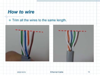 How to wire
 Trim all the wires to the same length.
15
Ethernet Cable
2023/10/15
 