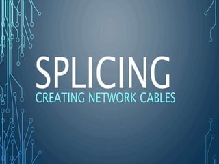 2023/10/15 Ethernet Cable 3
 