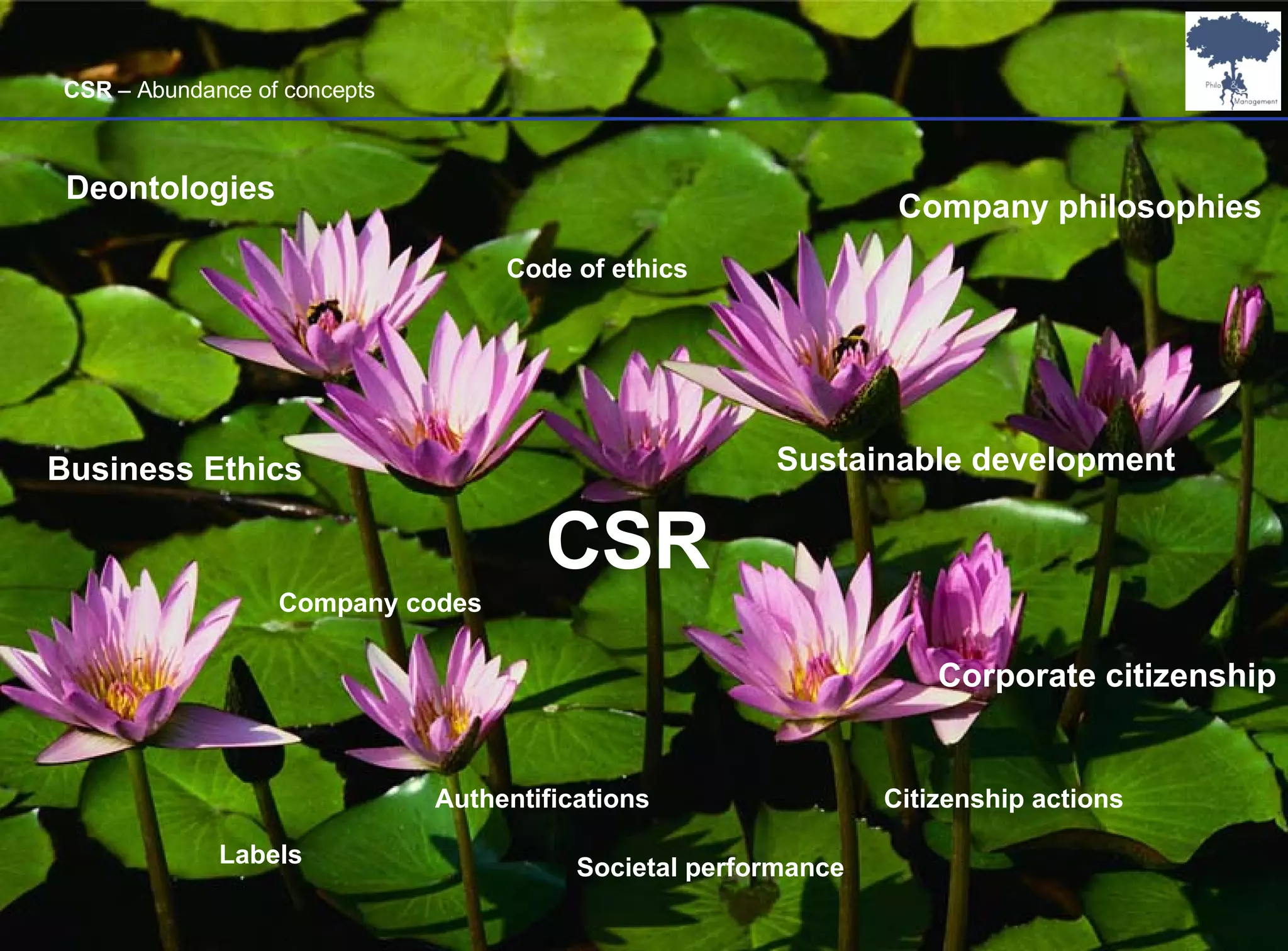 CSR Business Ethics Sustainable development Corporate citizenship Code of ethics Authentifications Labels Societal performance Deontologies Company philosophies Company codes Citizenship actions CSR  – Abundance of concepts 