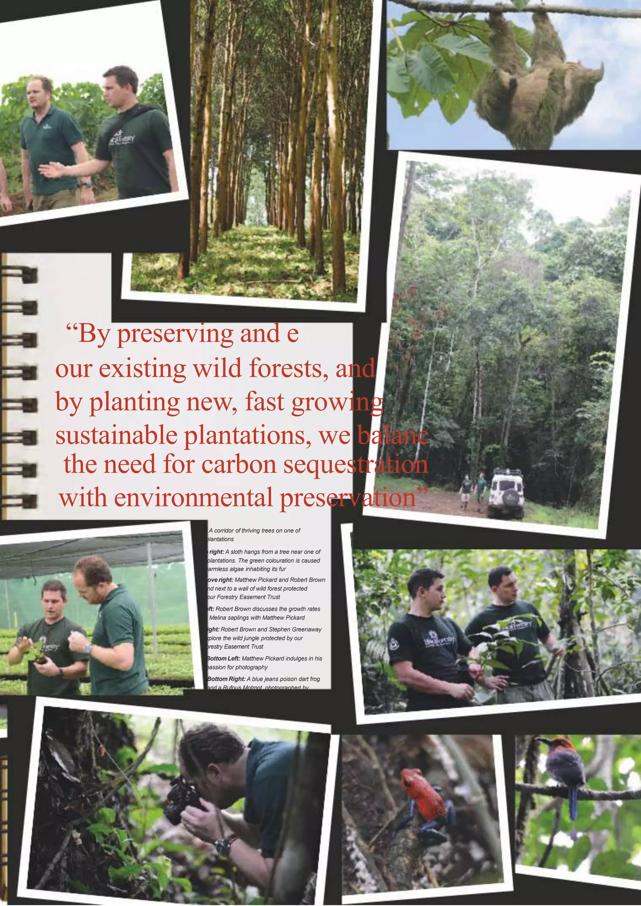 “By preserving and e
our existing wild forests, and
by planting new, fast growing
sustainable plantations, we balanc
the need for carbon sequestration
with environmental preservation”
Top: A corridor of thriving trees on one of
our plantations
Top right: A sloth hangs from a tree near one of
our plantations. The green colouration is caused
by harmless algae inhabiting its fur
Above right: Matthew Pickard and Robert Brown
stand next to a wall of wild forest protected
by our Forestry Easement Trust
Left: Robert Brown discusses the growth rates
of Melina saplings with Matthew Pickard
Right: Robert Brown and Stephen Greenaway
explore the wild jungle protected by our
Forestry Easement Trust
Bottom Left: Matthew Pickard indulges in his
passion for photography
Bottom Right: A blue jeans poison dart frog
and a Rufous Motmot, photographed by
Matthew Pickard

 