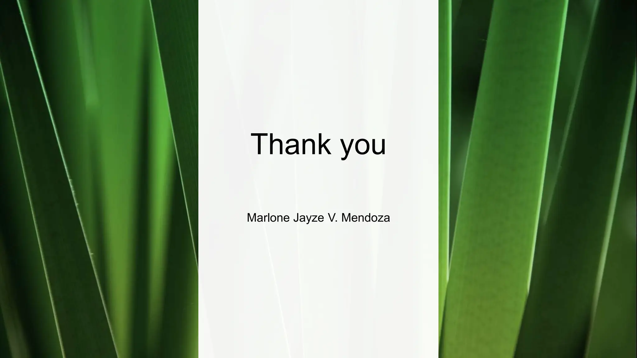 Thank you
Marlone Jayze V. Mendoza