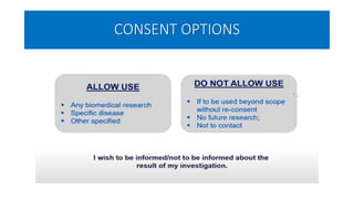 CONSENT OPTIONS
 