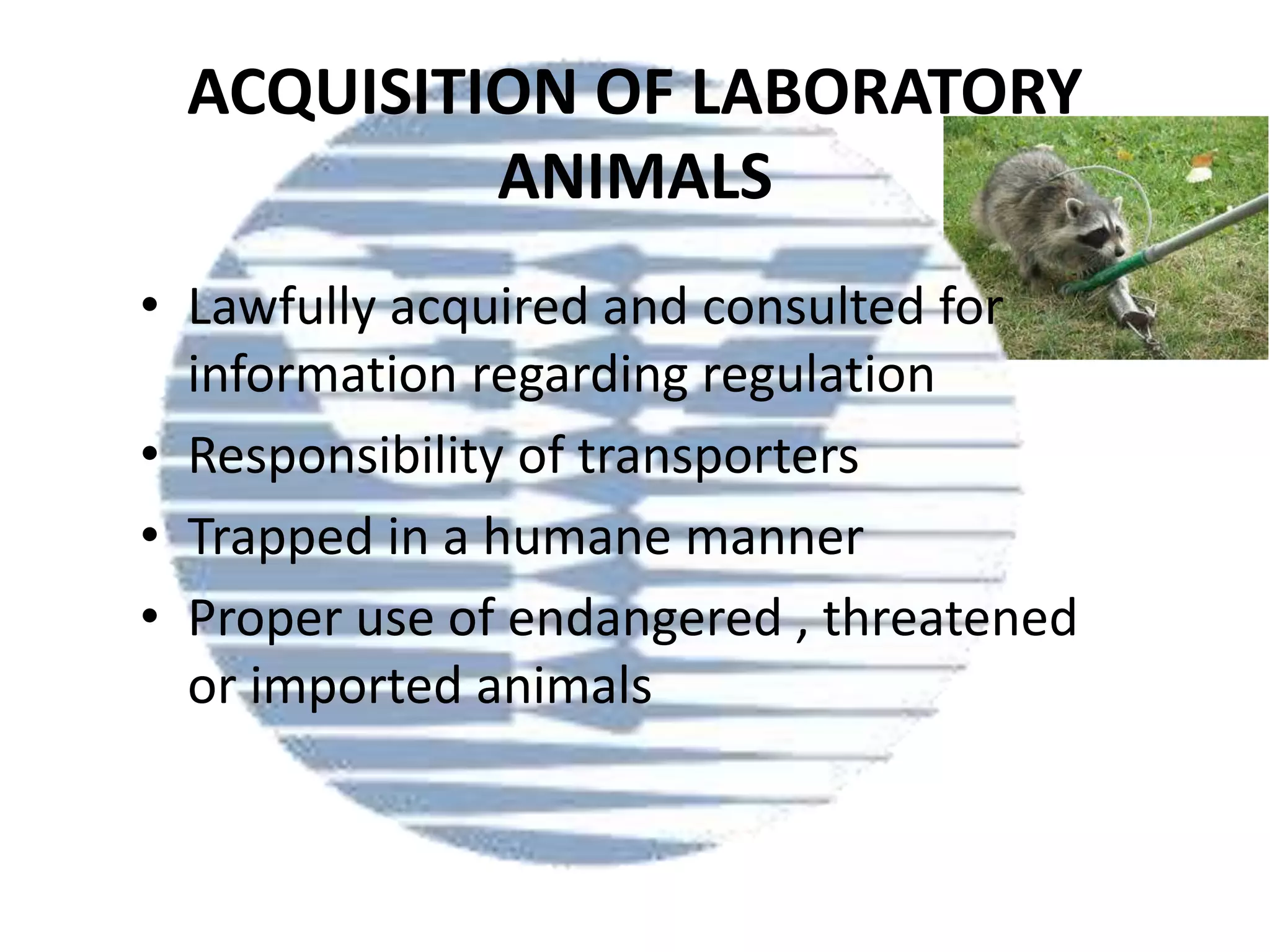ACQUISITION OF LABORATORY
ANIMALS
• Lawfully acquired and consulted for
information regarding regulation
• Responsibility of transporters
• Trapped in a humane manner
• Proper use of endangered , threatened
or imported animals

 
