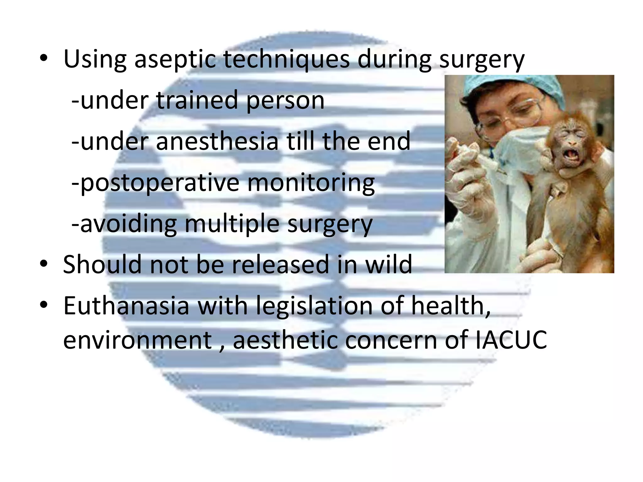 • Using aseptic techniques during surgery
-under trained person
-under anesthesia till the end
-postoperative monitoring
-avoiding multiple surgery
• Should not be released in wild
• Euthanasia with legislation of health,
environment , aesthetic concern of IACUC

 