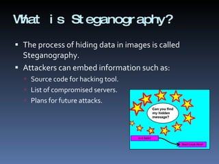What is Steganography? The process of hiding data in images is called Steganography. Attackers can embed information such as: Source code for hacking tool. List of compromised servers. Plans for future attacks. 