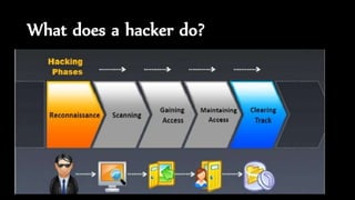 What does a hacker do?
 