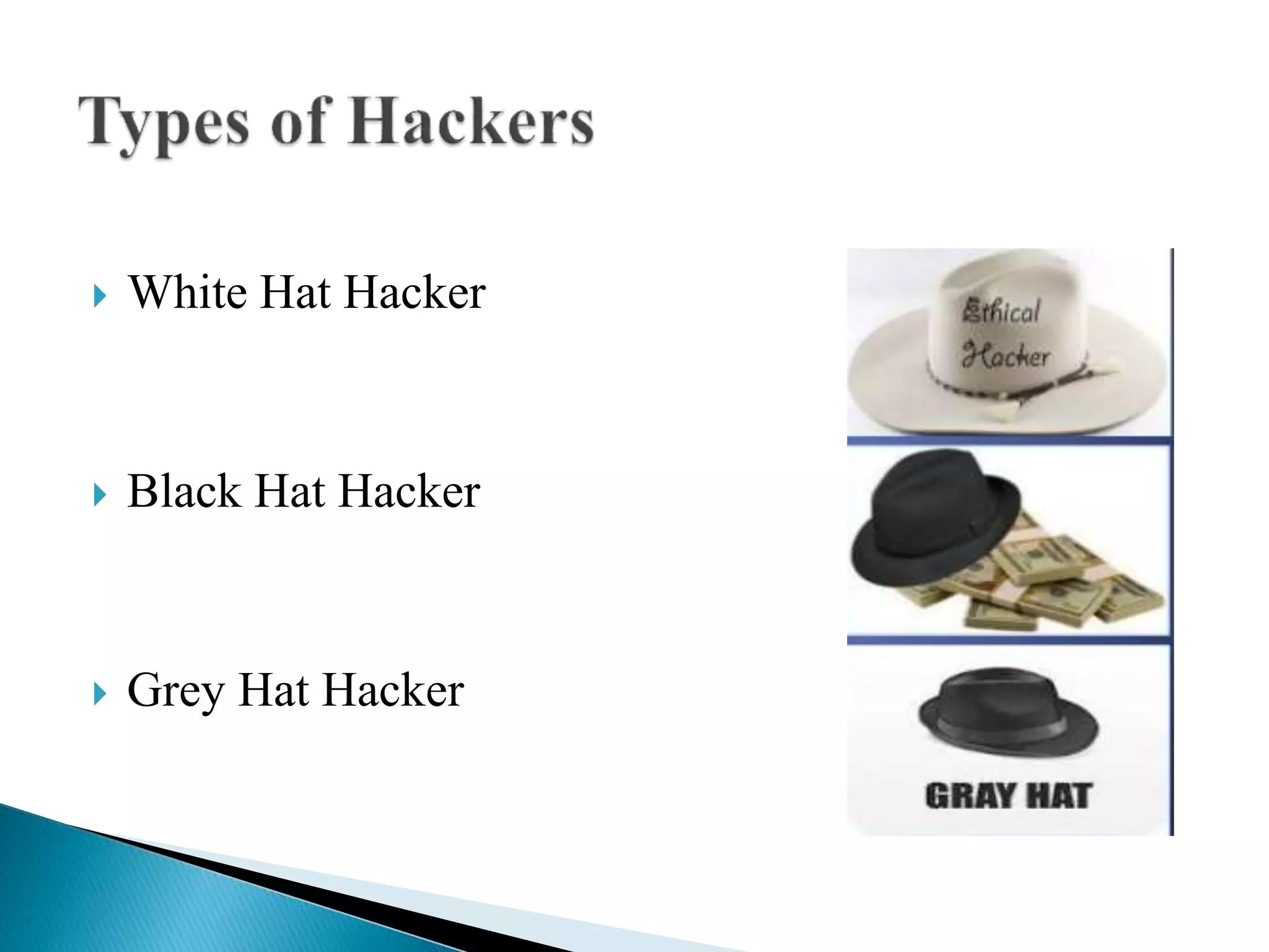  White Hat Hacker
 Black Hat Hacker
 Grey Hat Hacker
 