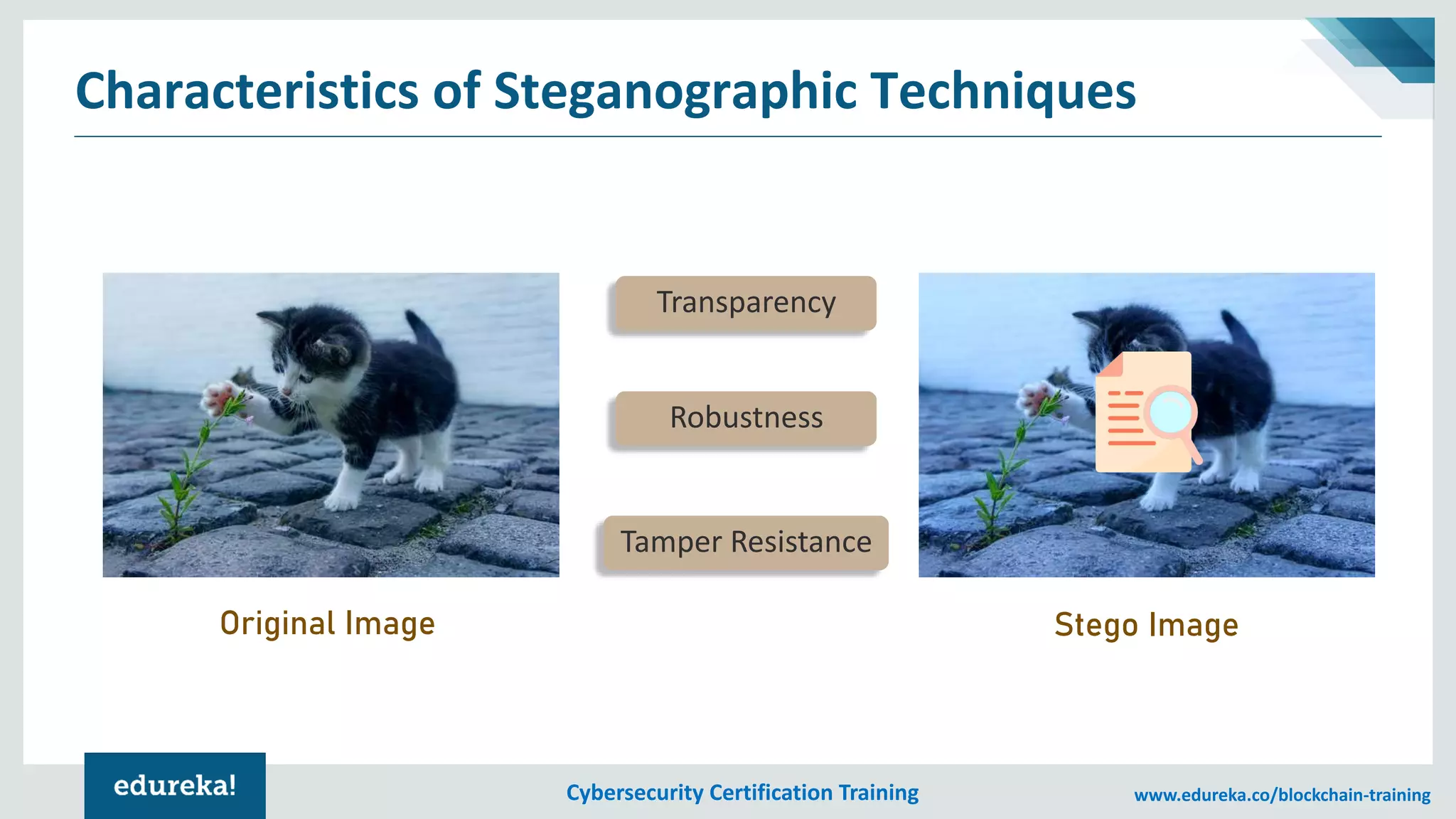 Cybersecurity Certification Training www.edureka.co/blockchain-training
Characteristics of Steganographic Techniques
Transparency
Robustness
Tamper Resistance
Original Image Stego Image
 