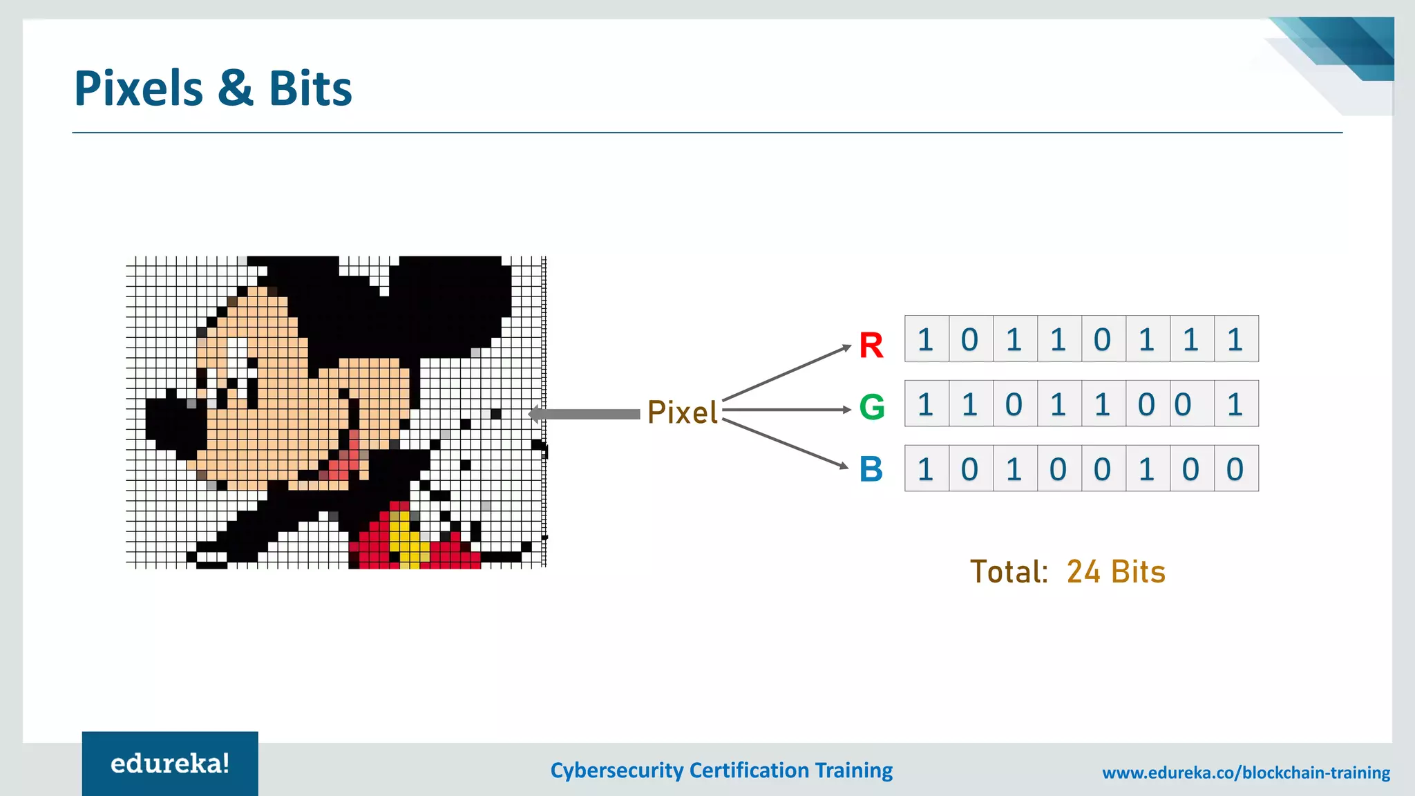 Cybersecurity Certification Training www.edureka.co/blockchain-training
Pixels & Bits
Pixel
R
G
B
1 0 1 1 0 1 1 1
1 1 0 1 1 0 0 1
1 0 1 0 0 1 0 0
Total: 24 Bits
 