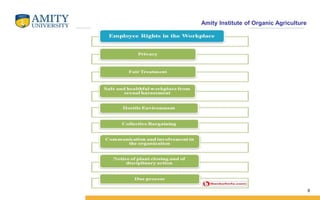 Amity Institute of Organic Agriculture
8
 