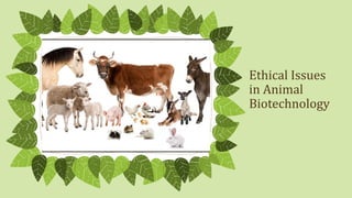 Ethical Issues
in Animal
Biotechnology
 
