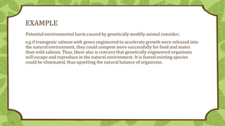 EXAMPLE
Potential environmental harm caused by genetically modifiy animal consider;
e.g if transgenic salmon with genes en...