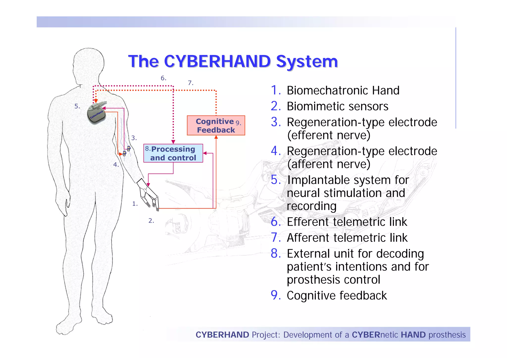 The CYBERHAND System
                    6.
                         7.
                                               1. Biomechatronic Hand
5.                                             2. Biomimetic sensors
                              Cognitive 9.
                              Feedback
                                               3. Regeneration-type electrode
          3.                                        (efferent nerve)
               8.Processing
                and control
                                               4.   Regeneration-type electrode
     4.                                             (afferent nerve)
                                               5.   Implantable system for
                                                    neural stimulation and
          1.
                                                    recording
               2.
                                               6.   Efferent telemetric link
                                               7.   Afferent telemetric link
                                               8.   External unit for decoding
                                                    patient’s intentions and for
                                                    prosthesis control
                                               9.   Cognitive feedback


                              CYBERHAND Project: Development of a CYBERnetic HAND prosthesis
 