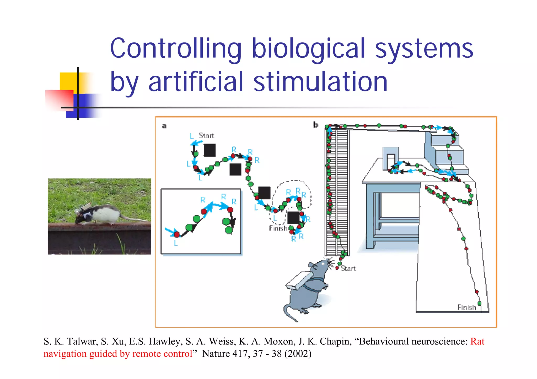 Controlling biological systems
               by artificial stimulation




S. K. Talwar, S. Xu, E.S. Hawley, S. A. Weiss, K. A. Moxon, J. K. Chapin, “Behavioural neuroscience: Rat
navigation guided by remote control” Nature 417, 37 - 38 (2002)
 