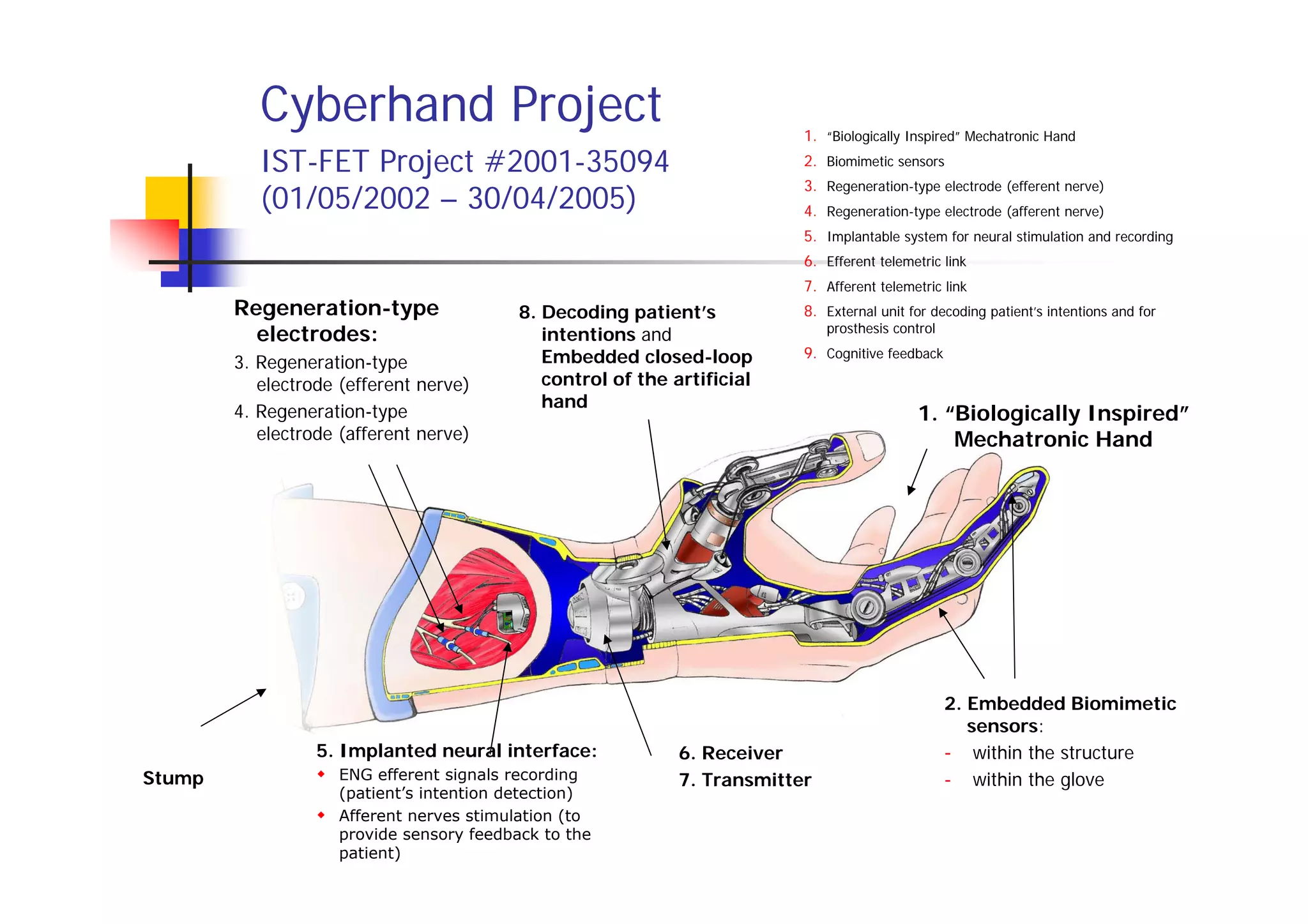 Cyberhand Project                                              1. “Biologically Inspired” Mechatronic Hand
           IST-FET Project #2001-35094                                    2. Biomimetic sensors
                                                                          3. Regeneration-type electrode (efferent nerve)
           (01/05/2002 – 30/04/2005)                                      4. Regeneration-type electrode (afferent nerve)
                                                                          5. Implantable system for neural stimulation and recording
                                                                          6. Efferent telemetric link
                                                                          7. Afferent telemetric link
        Regeneration-type                 8. Decoding patient’s           8. External unit for decoding patient’s intentions and for
                                                                              prosthesis control
          electrodes:                        intentions and
                                             Embedded closed-loop         9. Cognitive feedback
        3. Regeneration-type
           electrode (efferent nerve)        control of the artificial
                                             hand
        4. Regeneration-type                                                                 1. “Biologically Inspired”
           electrode (afferent nerve)                                                            Mechatronic Hand




                                                                                                   2. Embedded Biomimetic
                                                                                                      sensors:
                  5. Implanted neural interface:             6. Receiver                           - within the structure
Stump               ENG efferent signals recording           7. Transmitter                        - within the glove
                    (patient’s intention detection)
                    Afferent nerves stimulation (to
                    provide sensory feedback to the
                    patient)
 
