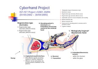 Cyberhand Project                                              1. “Biologically Inspired” Mechatronic Hand
           IST-FET Project #2001-35094                                    2. Biomimetic sensors
                                                                          3. Regeneration-type electrode (efferent nerve)
           (01/05/2002 – 30/04/2005)                                      4. Regeneration-type electrode (afferent nerve)
                                                                          5. Implantable system for neural stimulation and recording
                                                                          6. Efferent telemetric link
                                                                          7. Afferent telemetric link
        Regeneration-type                 8. Decoding patient’s           8. External unit for decoding patient’s intentions and for
                                                                              prosthesis control
          electrodes:                        intentions and
                                             Embedded closed-loop         9. Cognitive feedback
        3. Regeneration-type
           electrode (efferent nerve)        control of the artificial
                                             hand
        4. Regeneration-type                                                                 1. “Biologically Inspired”
           electrode (afferent nerve)                                                            Mechatronic Hand




                                                                                                   2. Embedded Biomimetic
                                                                                                      sensors:
                  5. Implanted neural interface:             6. Receiver                           - within the structure
Stump               ENG efferent signals recording           7. Transmitter                        - within the glove
                    (patient’s intention detection)
                    Afferent nerves stimulation (to
                    provide sensory feedback to the
                    patient)
 