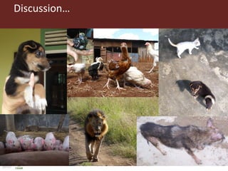 Ethical practice in One Health research