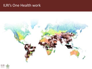 Ethical practice in One Health research