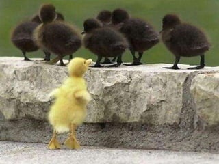 Ethics- Discrimination in workplace.